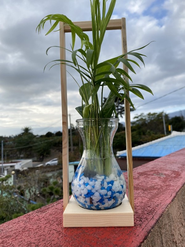수경재배 반려식물 가꾸기 프로그램 후기 사진