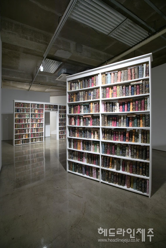 이지현,Dreaming book-Library Project,300×245×500cm,variable size,book pluck off,2018
