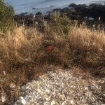남원 해안도로 경관지에 방치된 쓰레기 더미...&quot;헉!&quot;